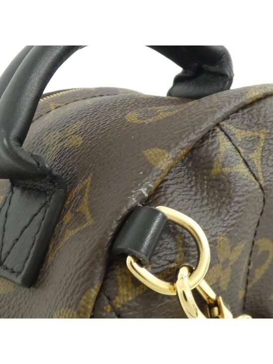 Louis Vuitton Monogram Palm Springs Backpack Mini main image 10